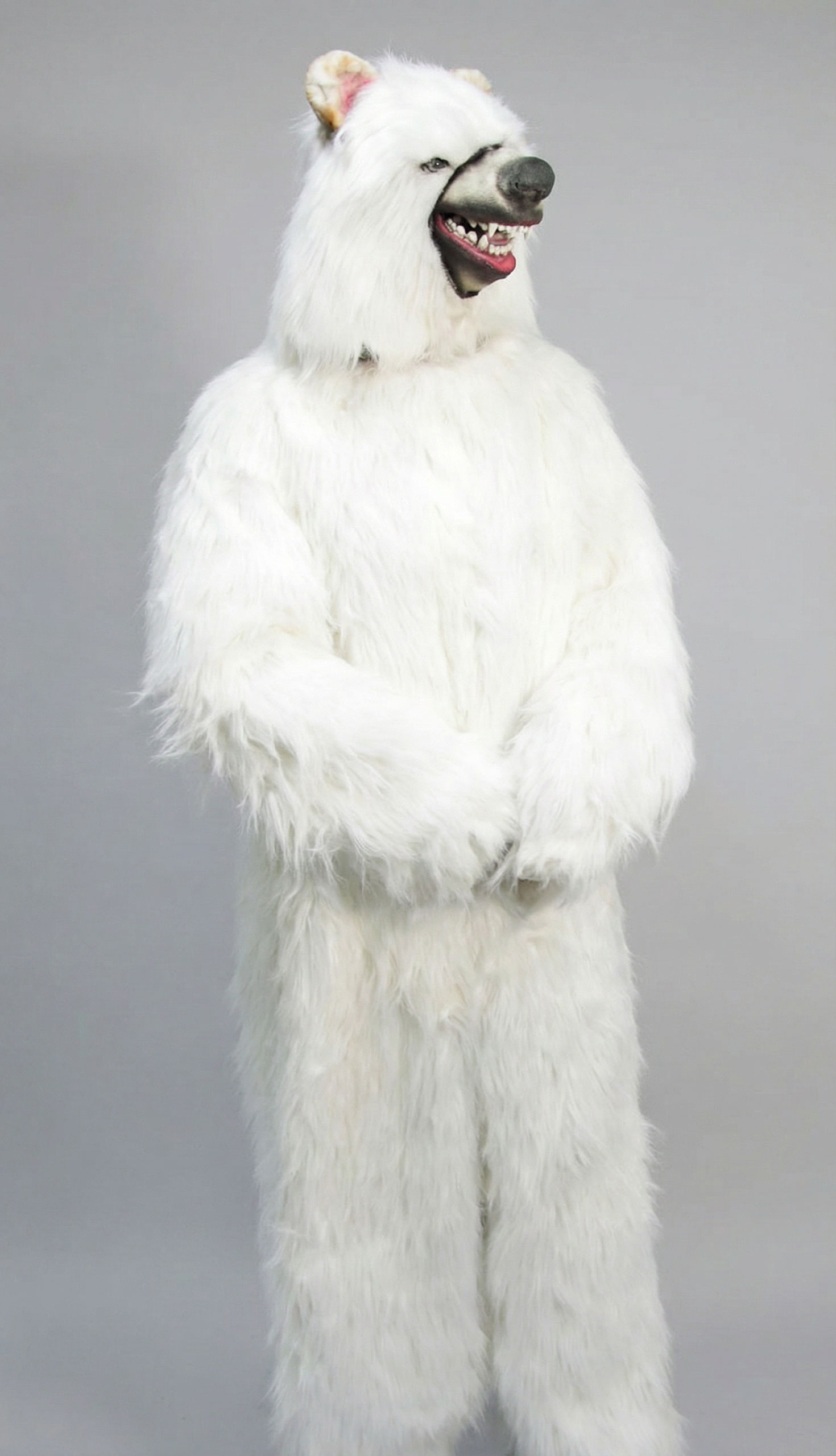 Eisbär